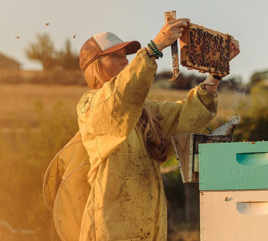 The Power of Honey - Honey Stinger