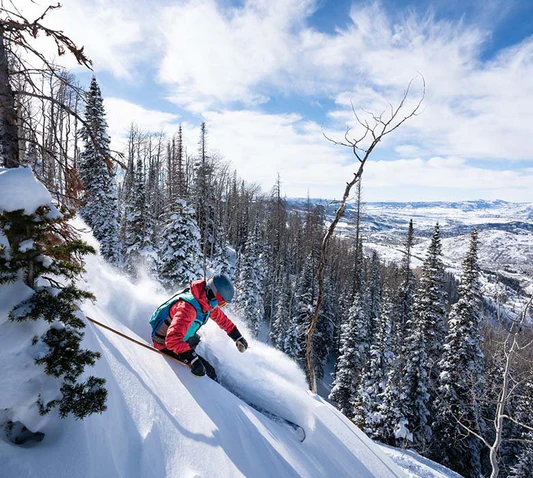 Honey Stinger Partners with Alterra Mountain Company - Honey Stinger