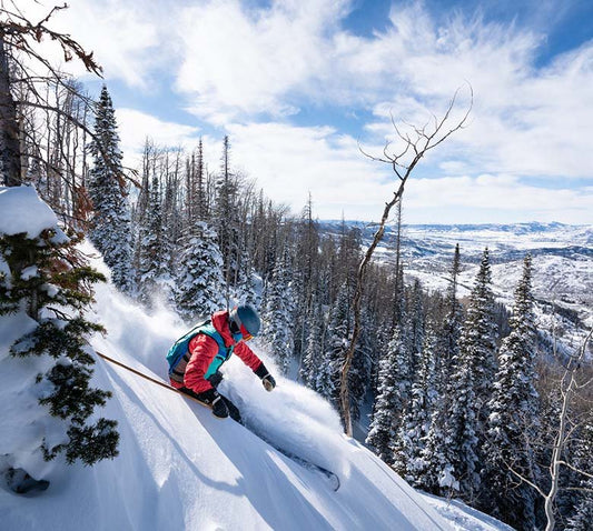 Honey Stinger Partners with Alterra Mountain Company - Honey Stinger