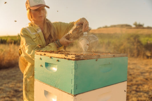 From Nectar to Honey